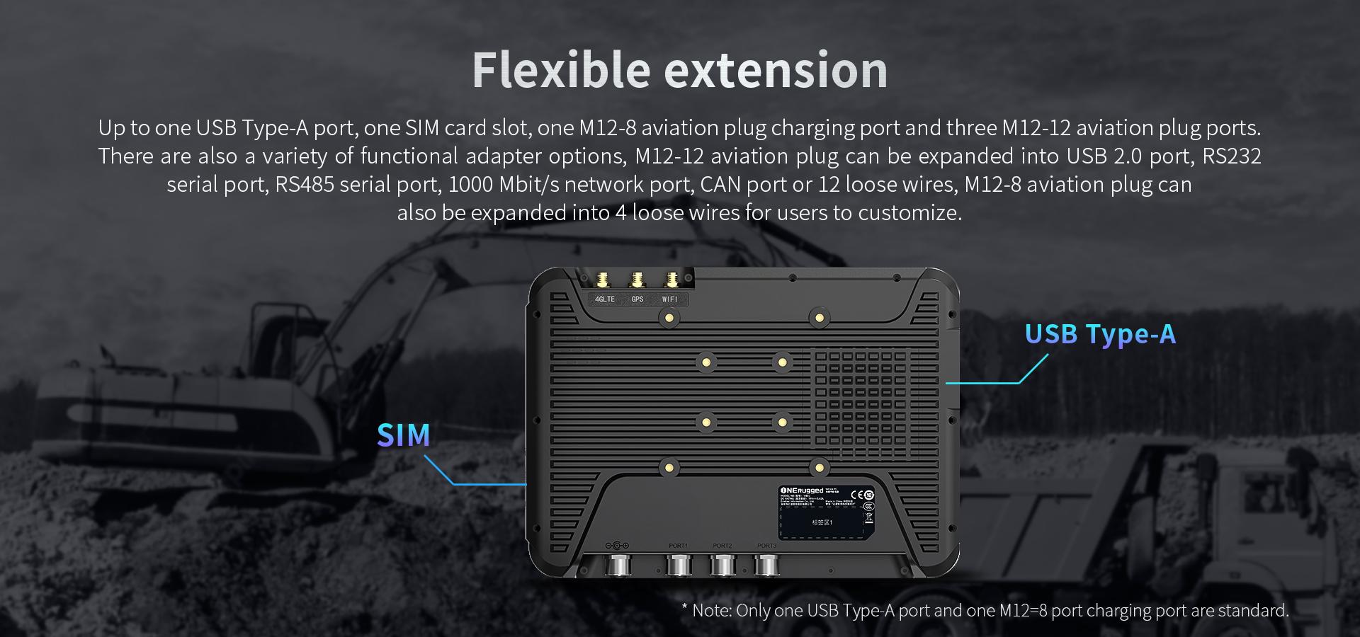 Rich I/O Ports and Vehicle Bus Connectivity