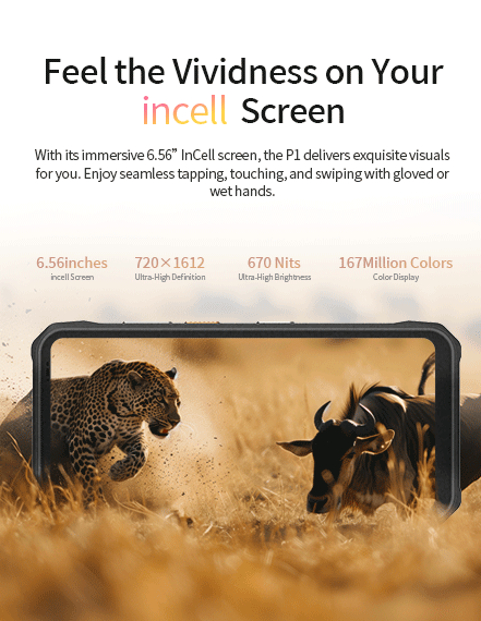 Feel the Vividness on Your incell Screen