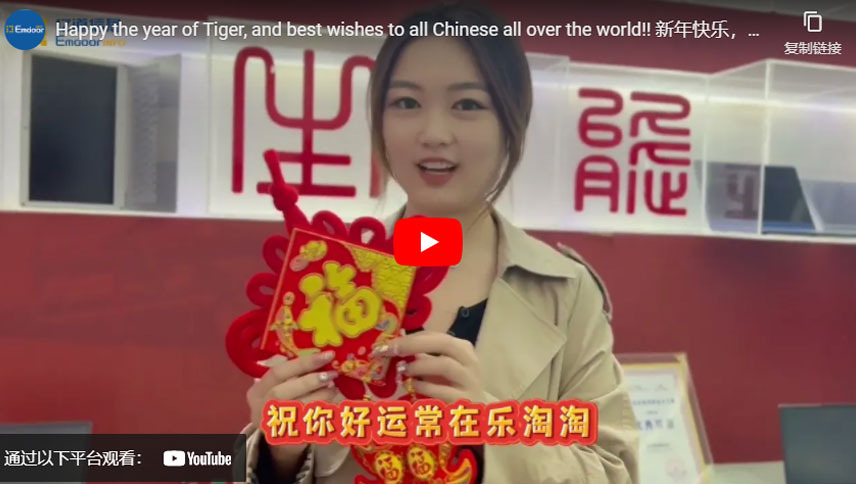 Счастливого года Тигра, и наилучшие пожелания всем китайцам во всем мире!